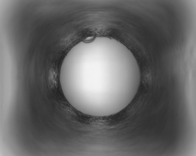 X0000103911010200809261605