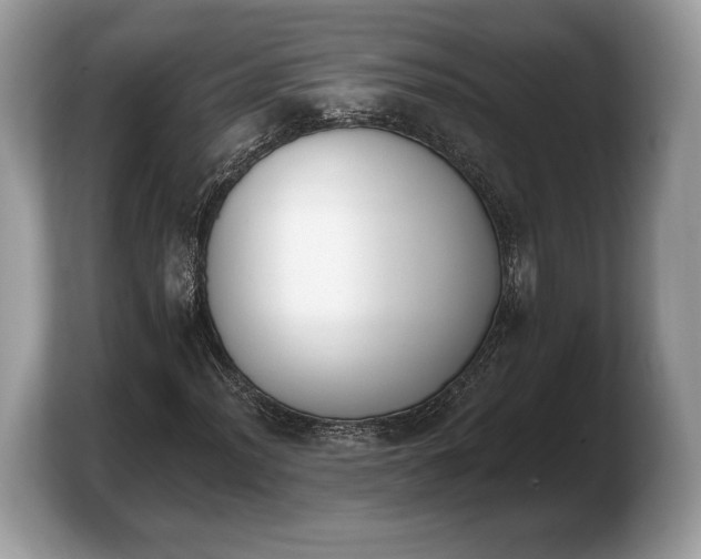 X0000103911012200809261605