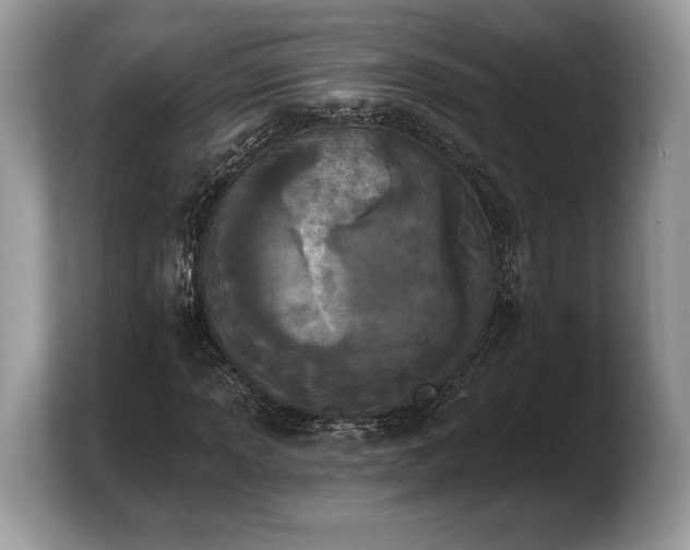 X0000103911013200809261605