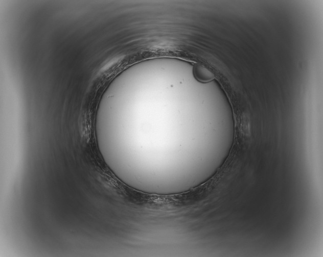 X0000103911015200809261605