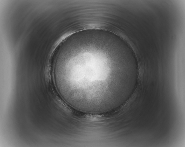 X0000103911019200809261605