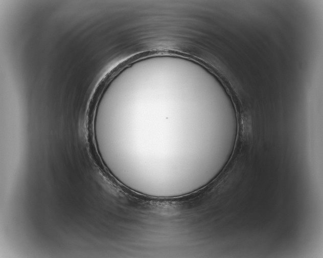 X0000103911020200809261605
