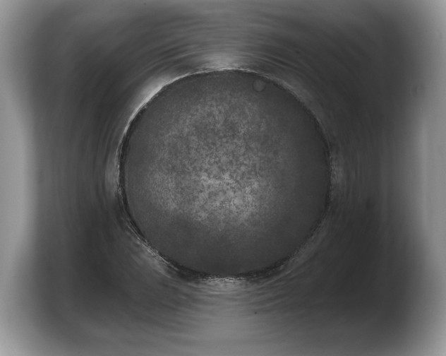 X0000103911023200809261605