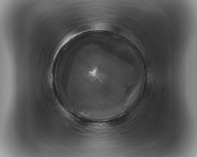 X0000103911024200809261605