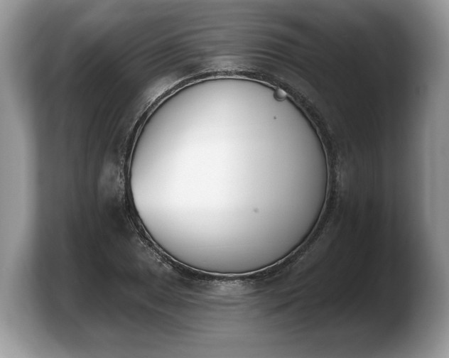 X0000103911025200809261605