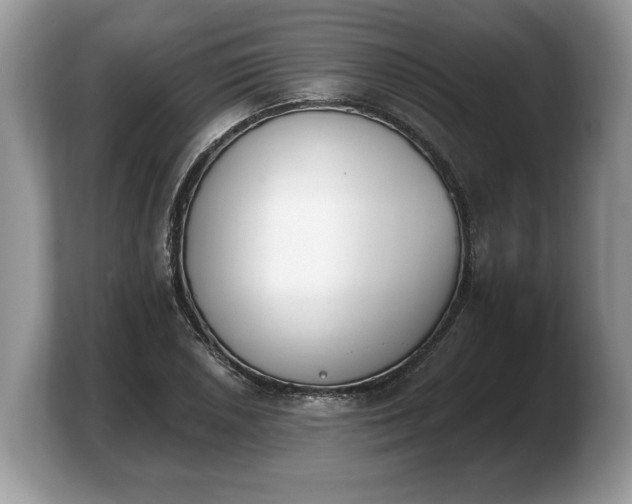 X0000103911026200809261606