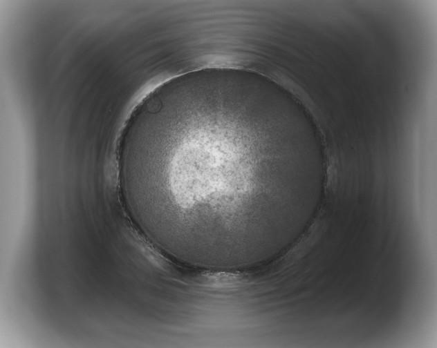 X0000103911027200809261606