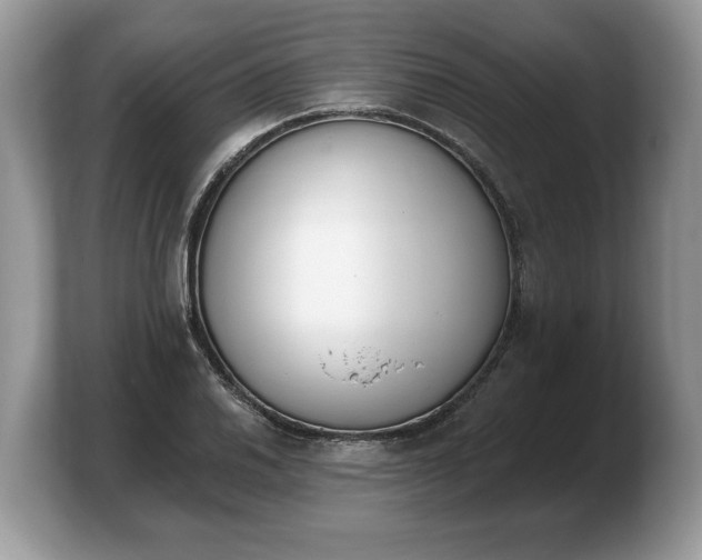 X0000103911030200809261606