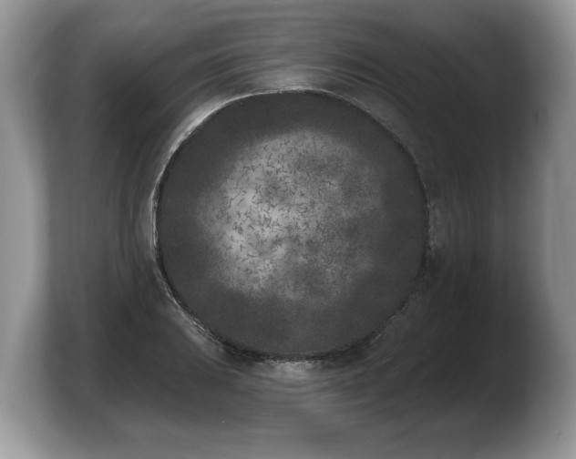 X0000103911031200809261606