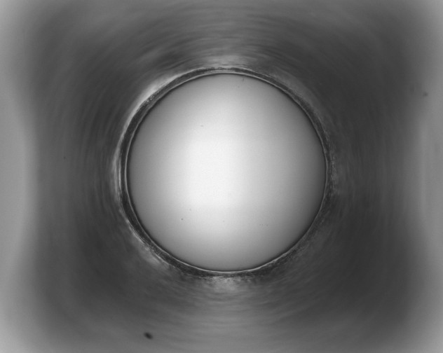 X0000103911032200809261606