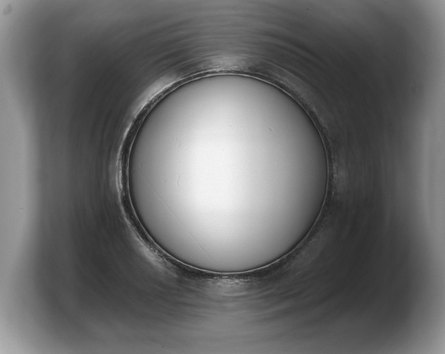 X0000103911034200809261606