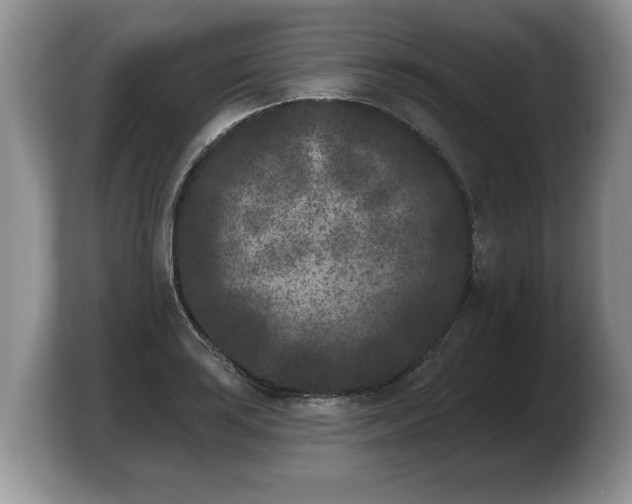 X0000103911035200809261606
