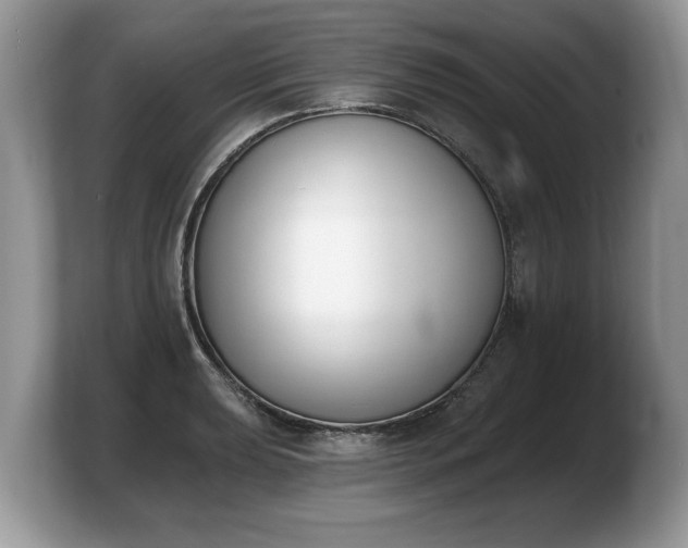 X0000103911039200809261606