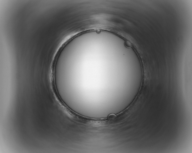 X0000103911040200809261606