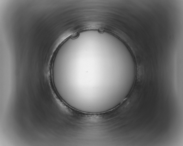 X0000103911042200809261606