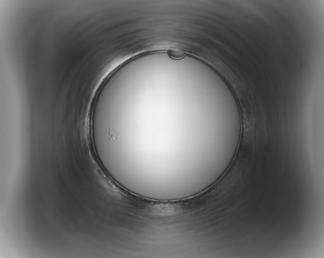 X0000103911044200809261606