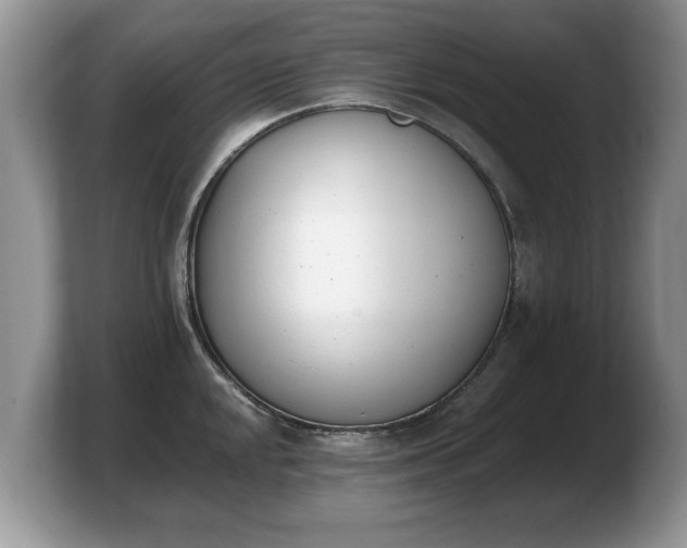 X0000103911048200809261606