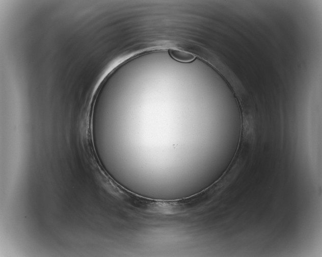 X0000103911052200809261606
