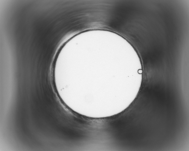X0000103911053200809261606