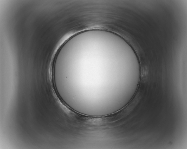X0000103911054200809261606
