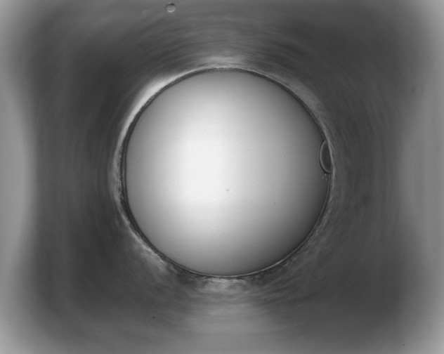 X0000103911056200809261606