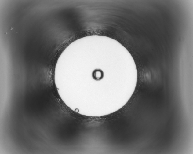 X0000103911060200809261605
