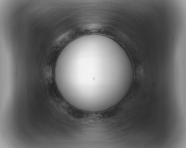X0000103911062200809261605