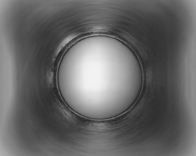 X0000103911066200809261605