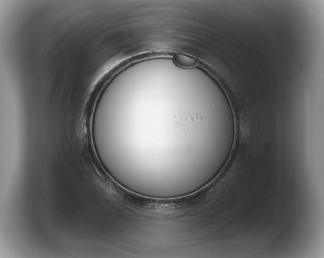 X0000103911070200809261605