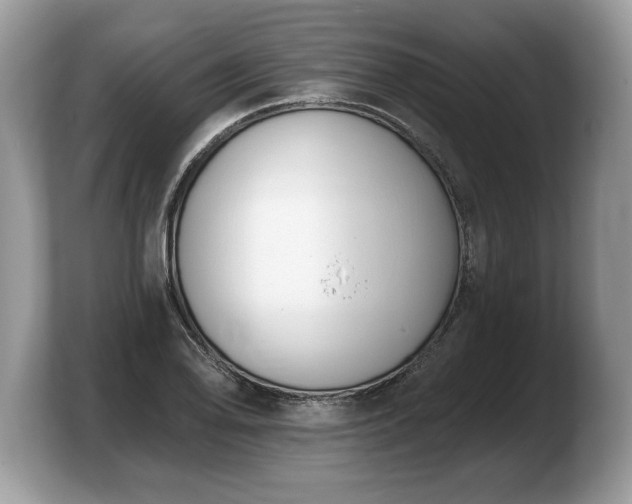 X0000103911078200809261605
