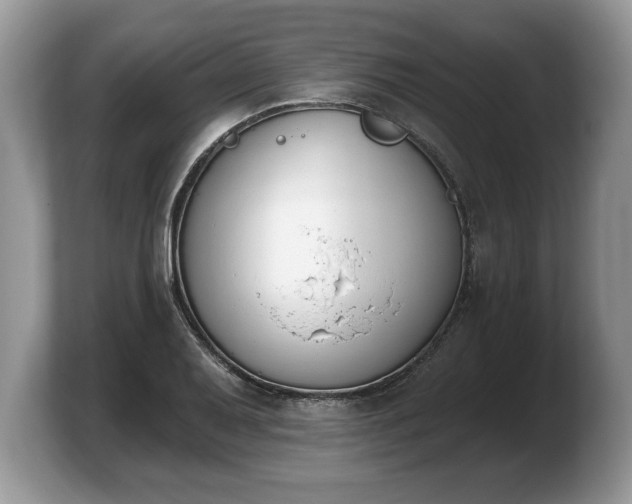 X0000103911079200809261605