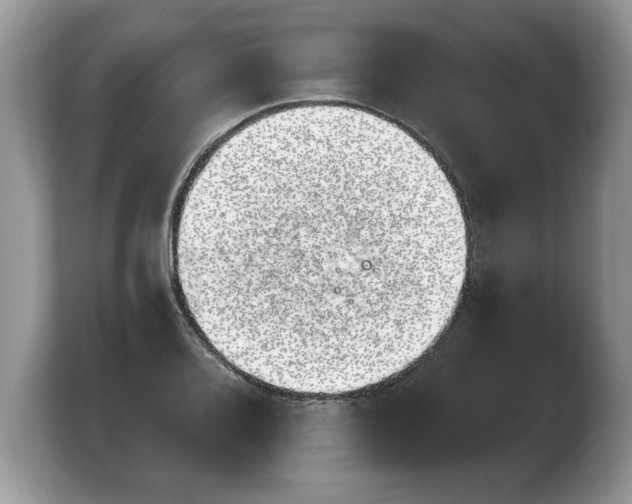 X0000103911080200809261605
