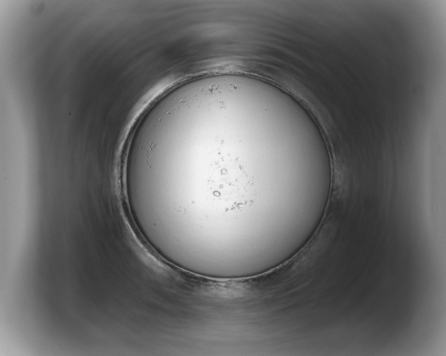 X0000103911090200809261605