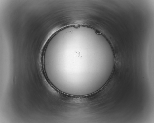 X0000103911091200809261605
