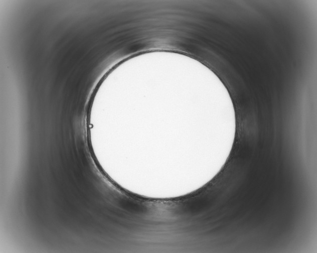 X0000103911092200809261605