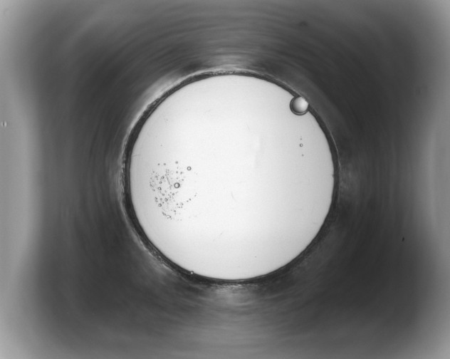 X0000103911093200809261605