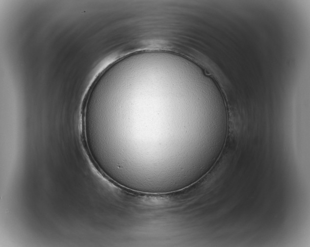 X0000103911095200809261605