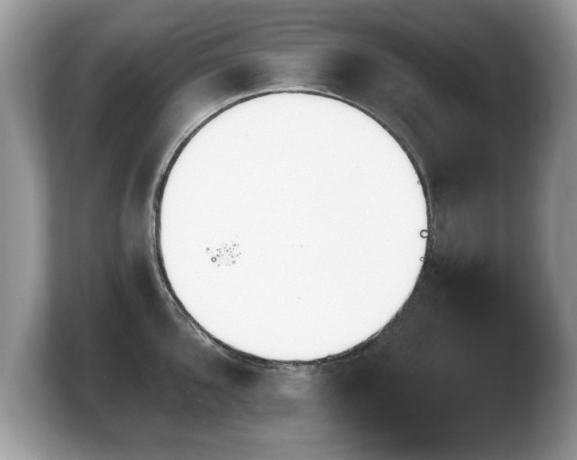X0000103911096200809261605