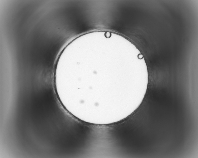 X0000103911100200809261605