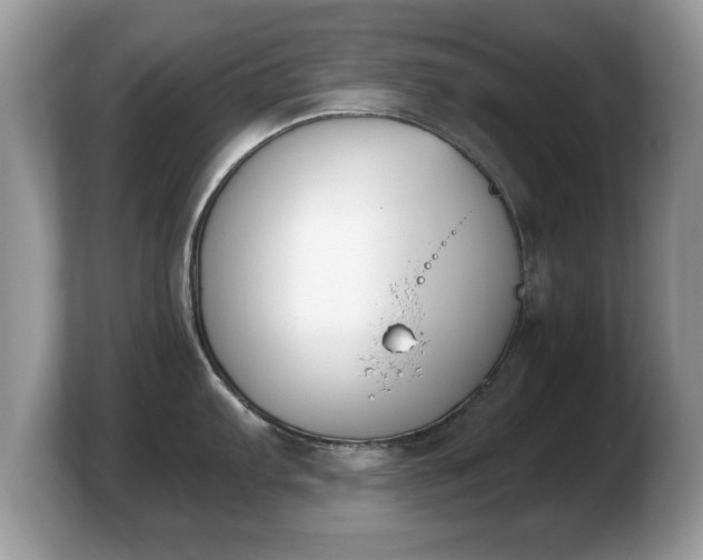X0000103911103200809261605