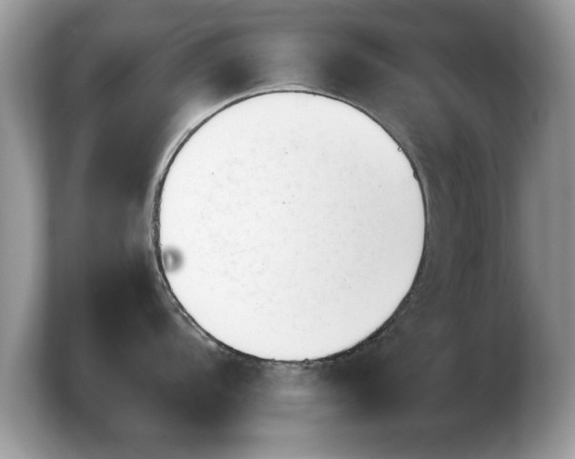 X0000103911104200809261605