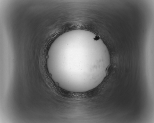 X0000103911105200809261604