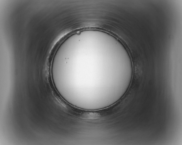 X0000103911119200809261604