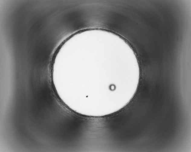 X0000103911120200809261604