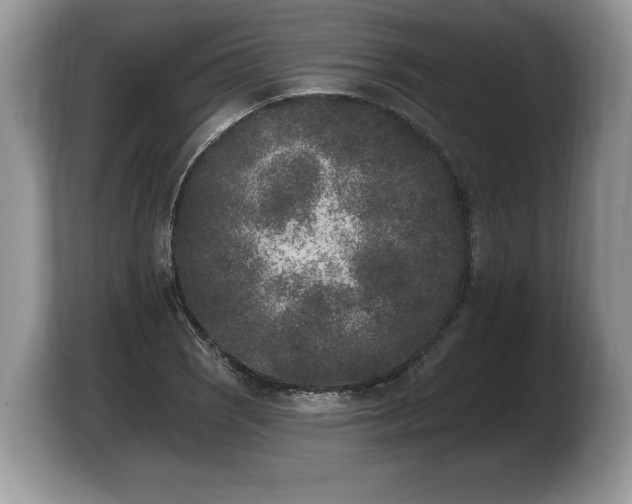 X0000103911121200809261604