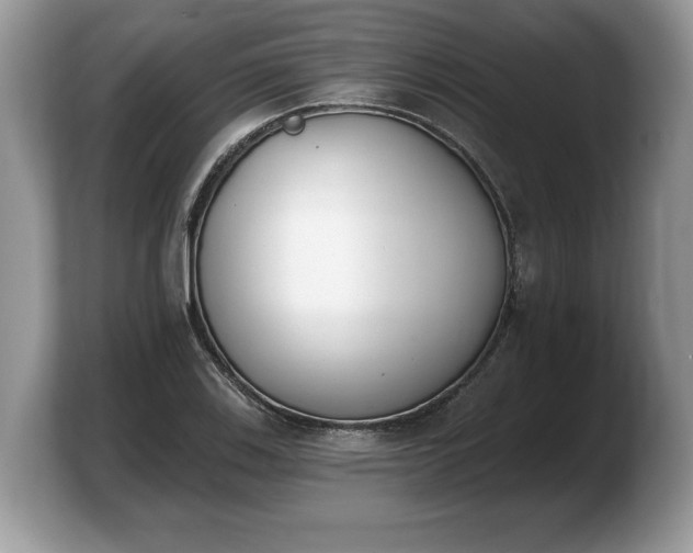 X0000103911123200809261604
