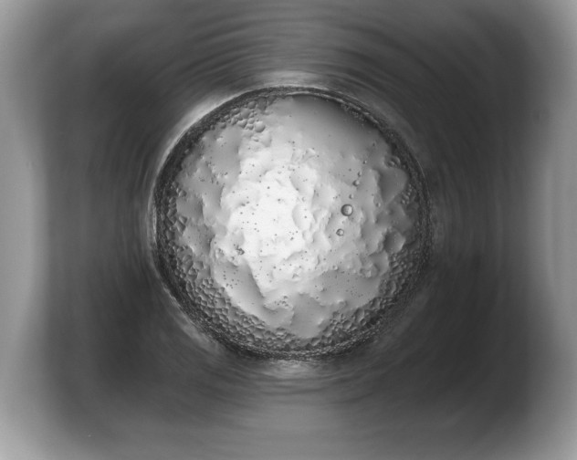 X0000103911125200809261604