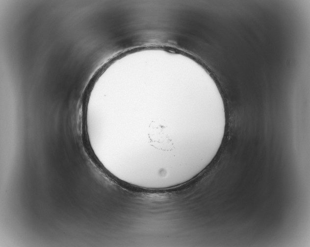 X0000103911126200809261604