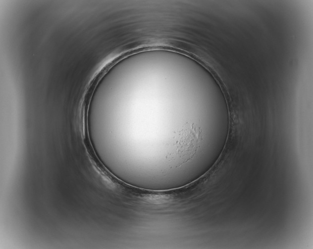 X0000103911127200809261604