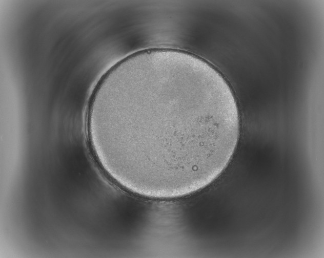 X0000103911128200809261604
